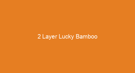 2 Layer Lucky Bamboo